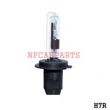 H7R - Lamp. Xenon / Par - 35W